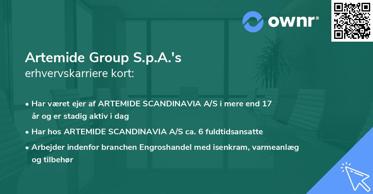Artemide Group S.p.A.'s erhvervskarriere kort