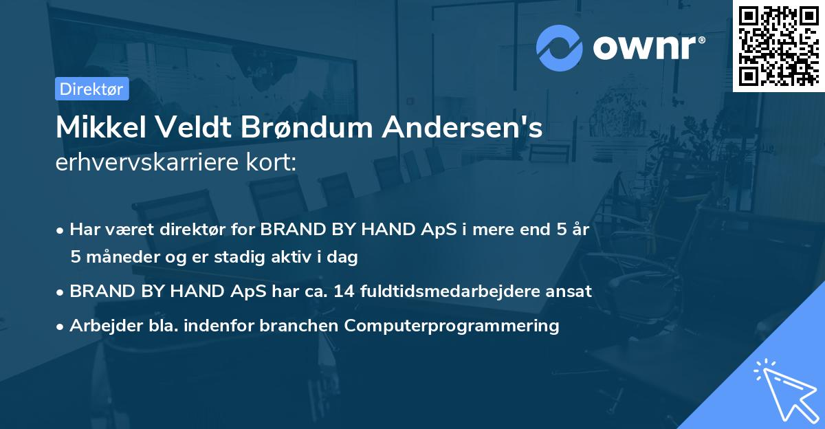 Mikkel Veldt Brøndum Andersen's erhvervskarriere kort