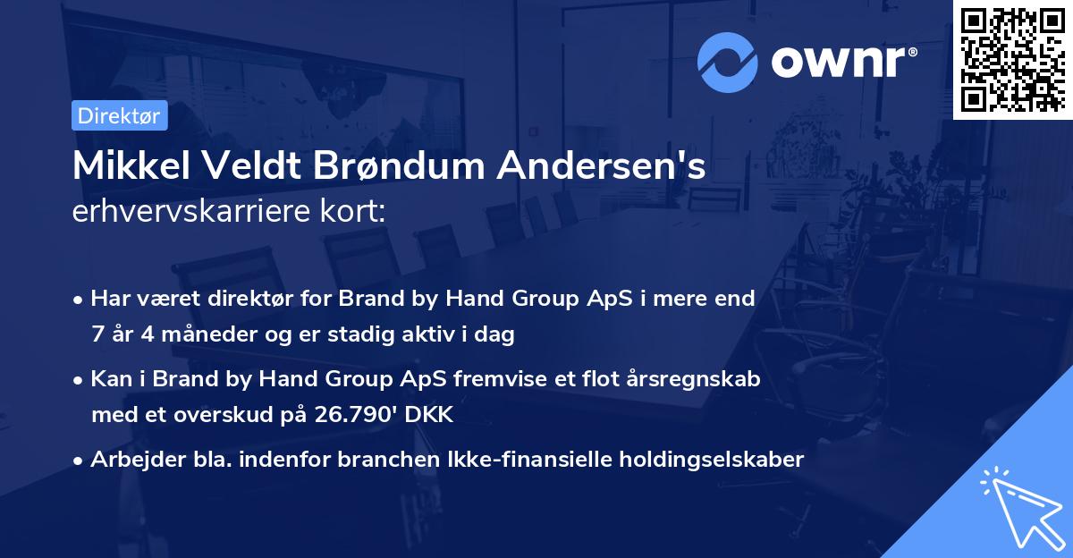 Mikkel Veldt Brøndum Andersen's erhvervskarriere kort