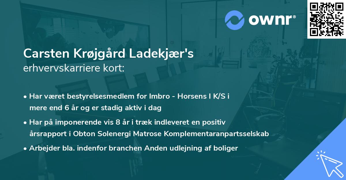 Carsten Krøjgård Ladekjær's erhvervskarriere kort