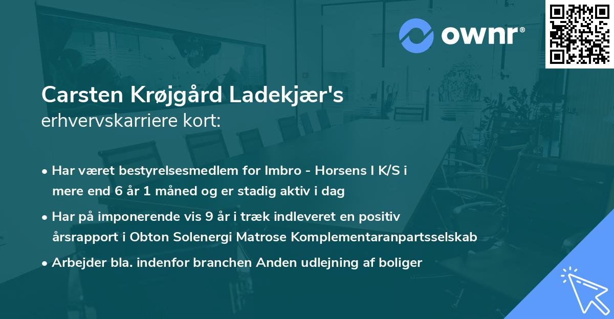 Carsten Krøjgård Ladekjær's erhvervskarriere kort