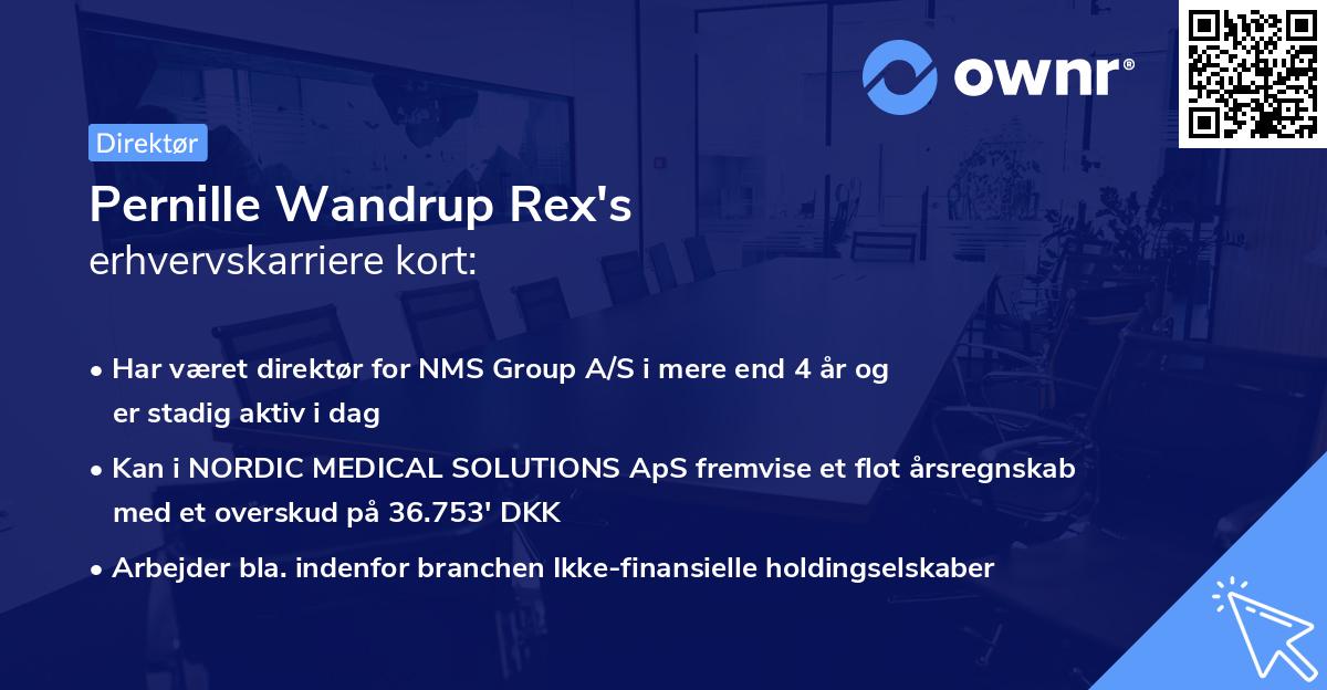 Pernille Wandrup Rex's erhvervskarriere kort