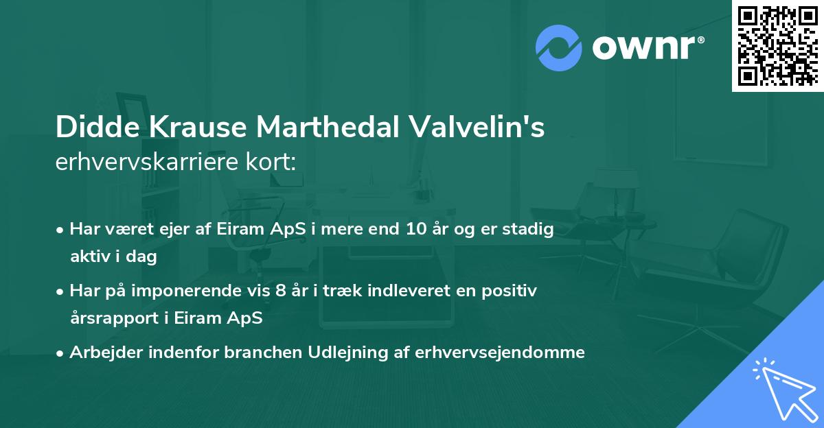 Didde Krause Marthedal Valvelin's erhvervskarriere kort