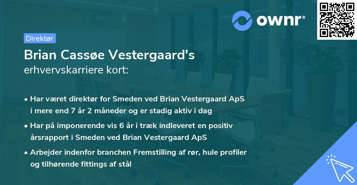Brian Cassøe Vestergaard's erhvervskarriere kort