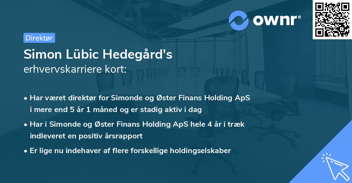 Simon Lübic Hedegård's erhvervskarriere kort