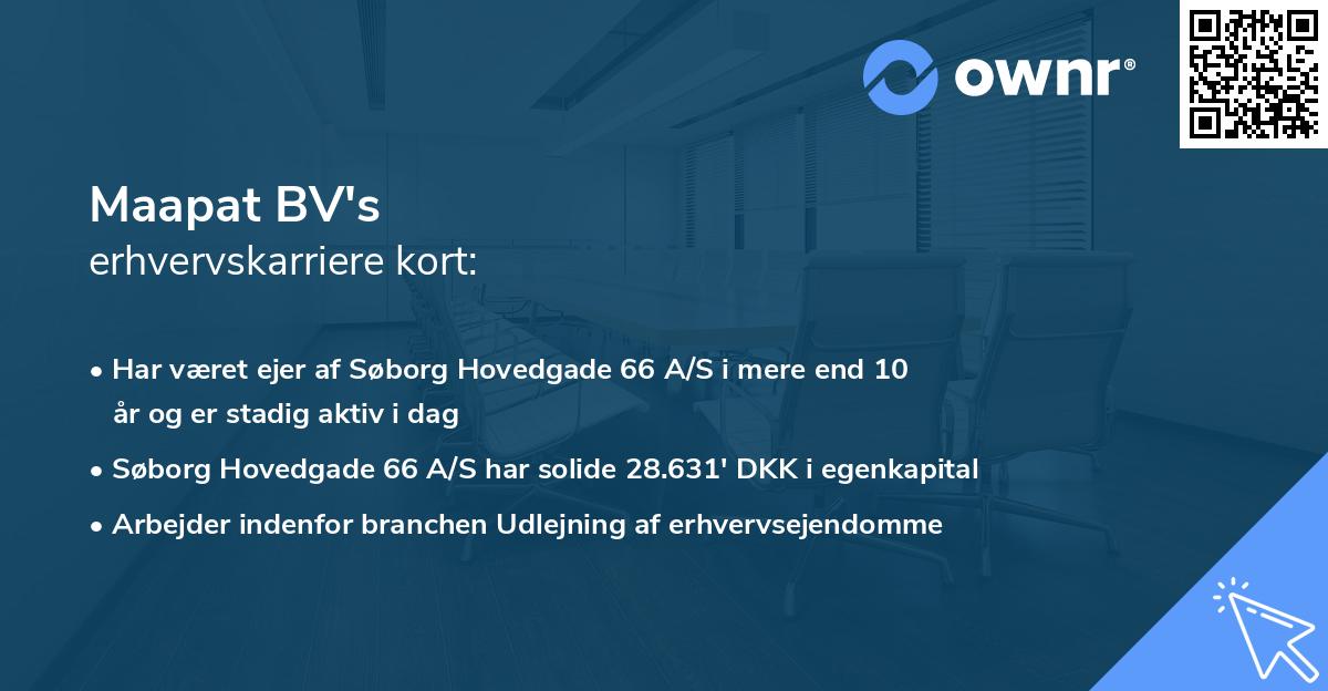 Maapat BV's erhvervskarriere kort