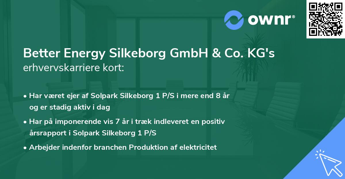 Better Energy Silkeborg GmbH & Co. KG's erhvervskarriere kort