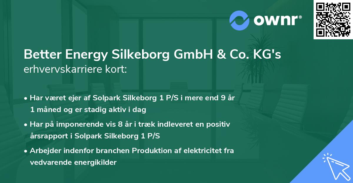 Better Energy Silkeborg GmbH & Co. KG's erhvervskarriere kort