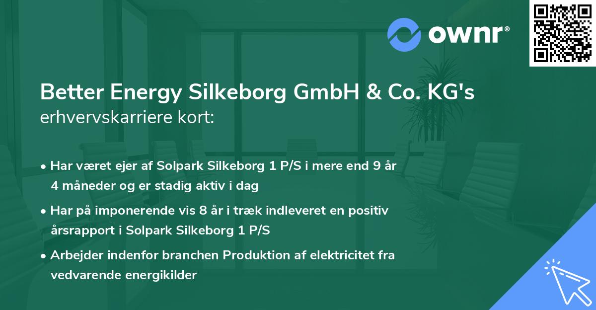 Better Energy Silkeborg GmbH & Co. KG's erhvervskarriere kort