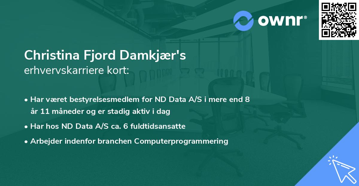 Christina Fjord Damkjær's erhvervskarriere kort