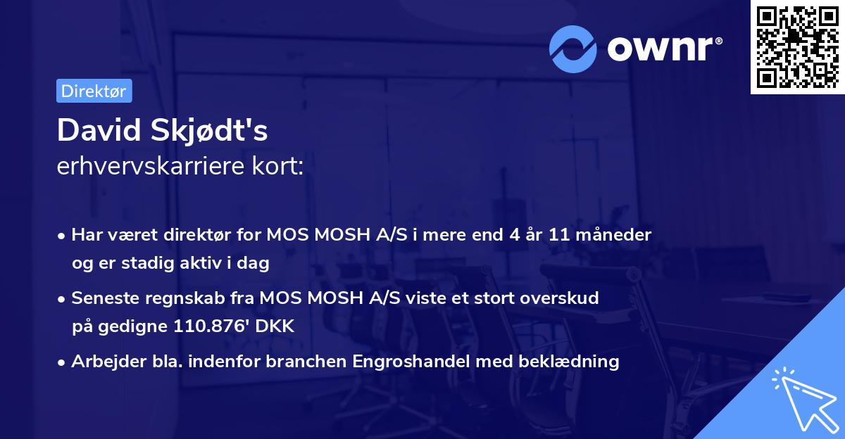 David Skjødt's erhvervskarriere kort