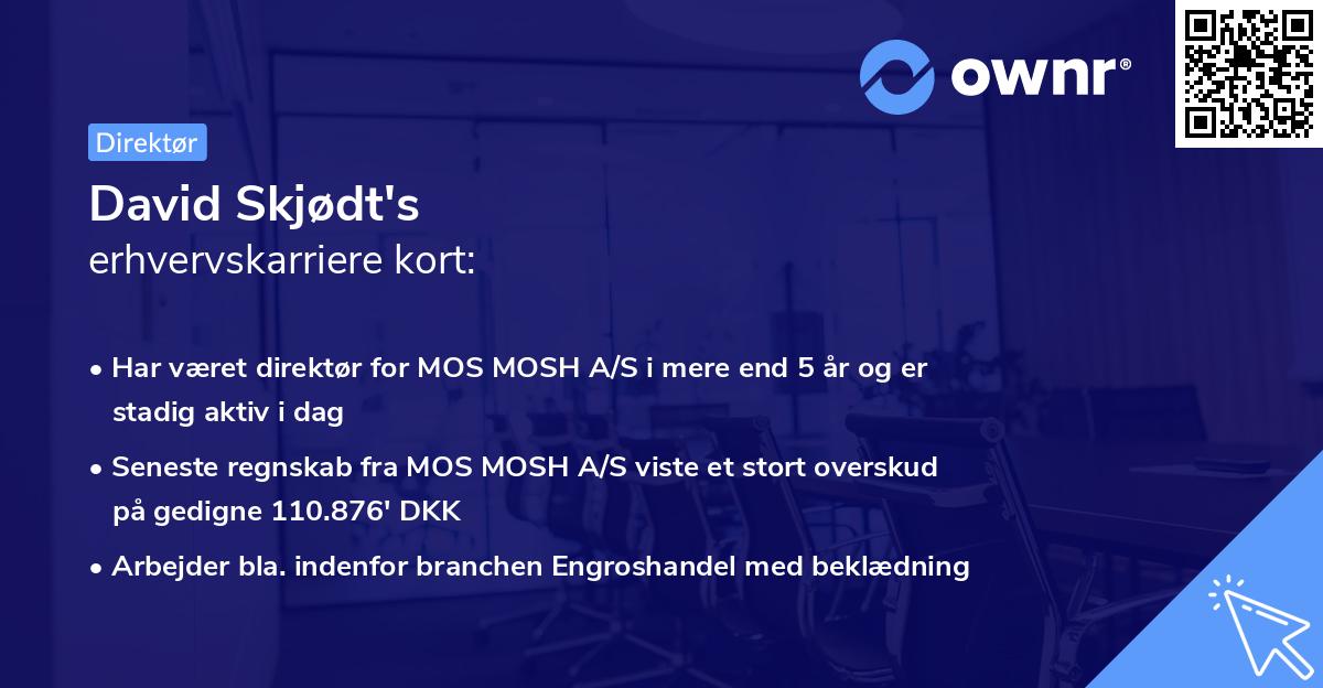 David Skjødt's erhvervskarriere kort