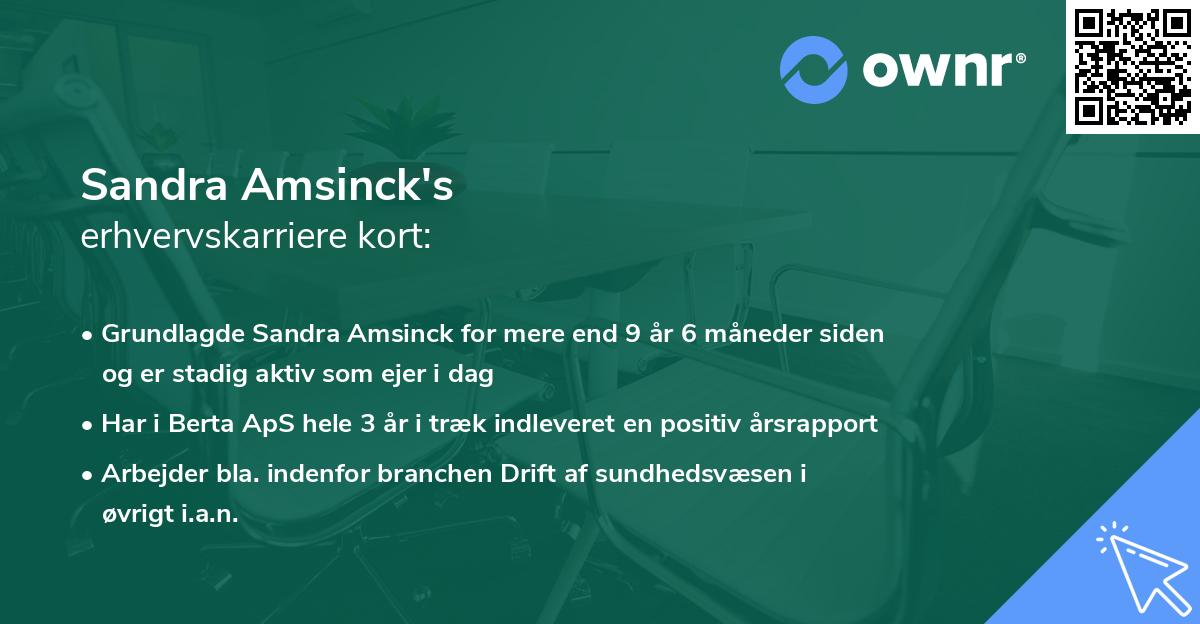 Sandra Amsinck's erhvervskarriere kort