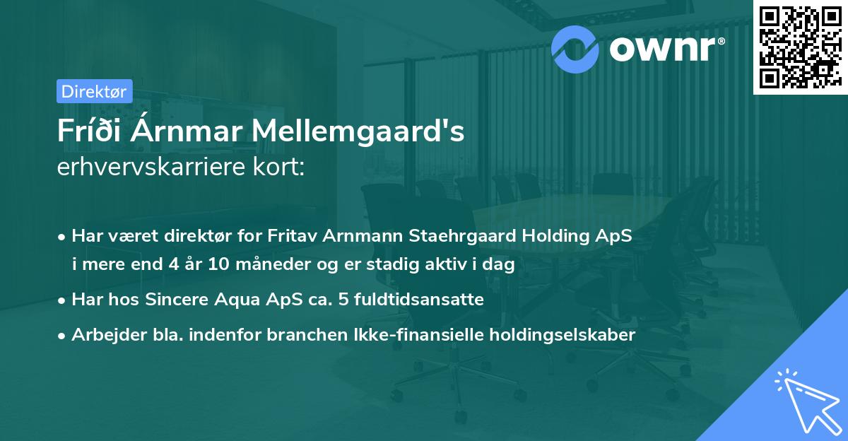 Fríði Árnmar Mellemgaard's erhvervskarriere kort
