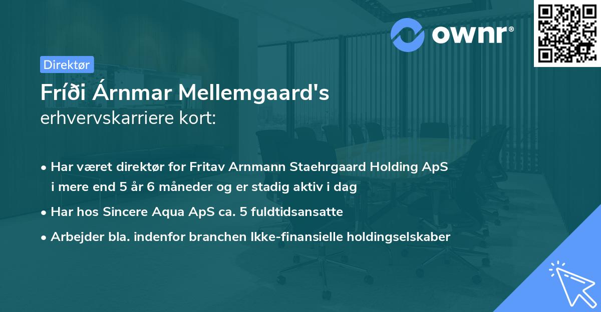 Fríði Árnmar Mellemgaard's erhvervskarriere kort