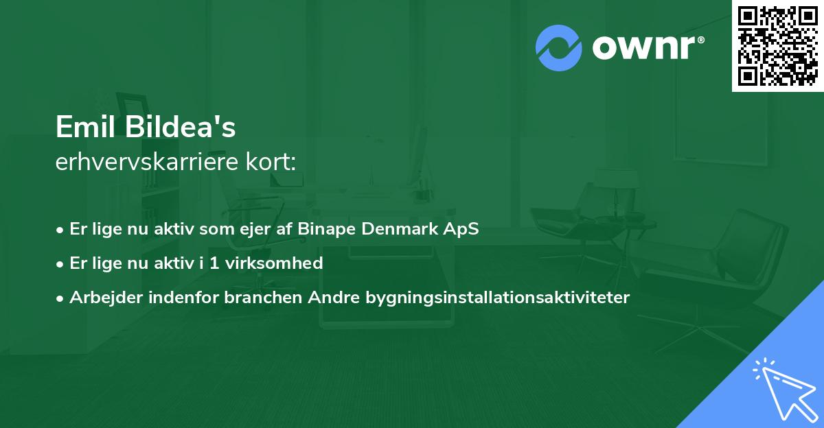 Emil Bildea's erhvervskarriere kort