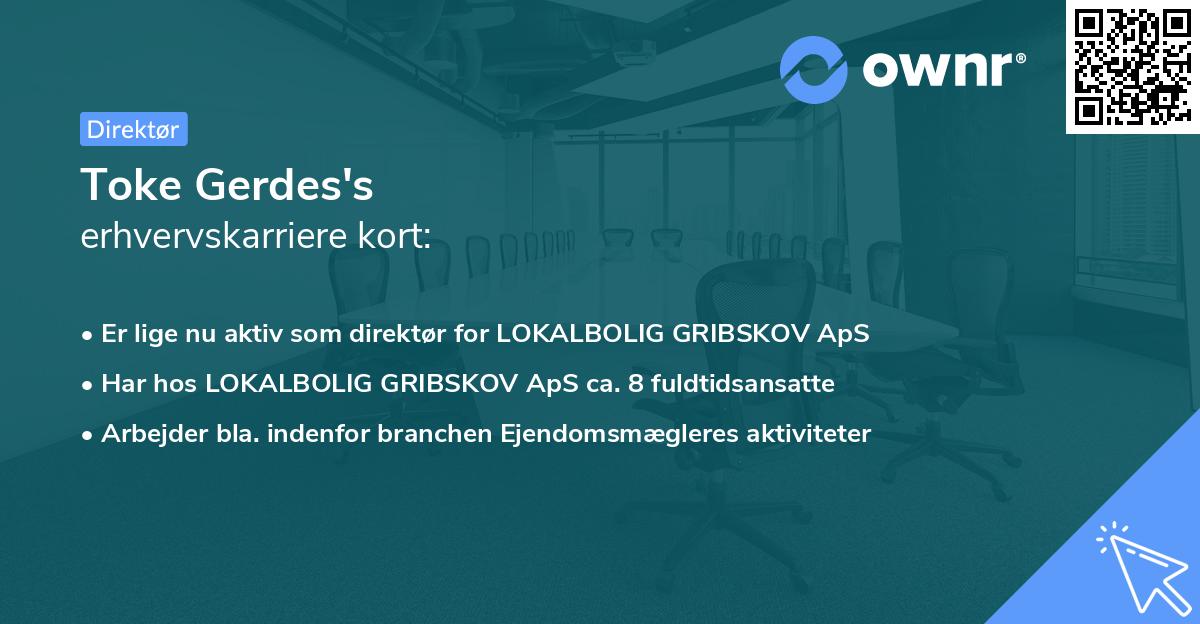 Toke Gerdes's erhvervskarriere kort