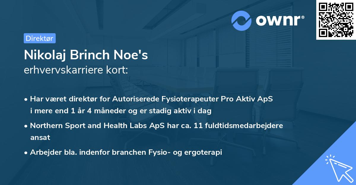 Nikolaj Brinch Noe's erhvervskarriere kort