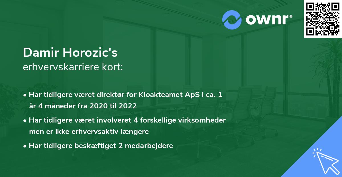 Damir Horozic's erhvervskarriere kort