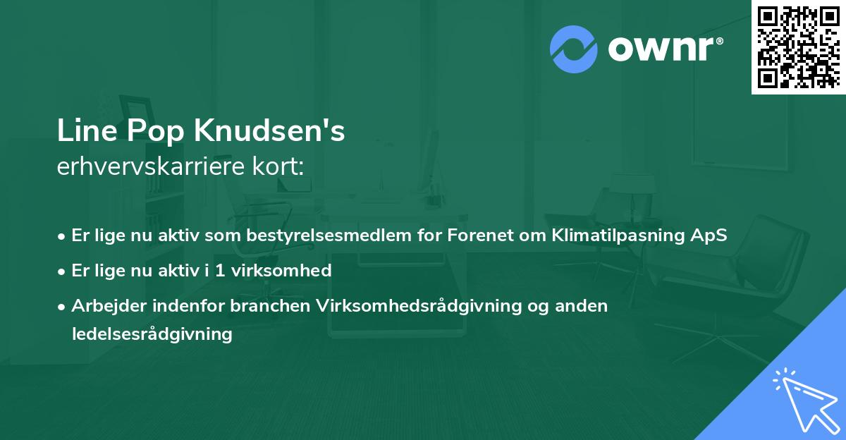 Line Pop Knudsen's erhvervskarriere kort