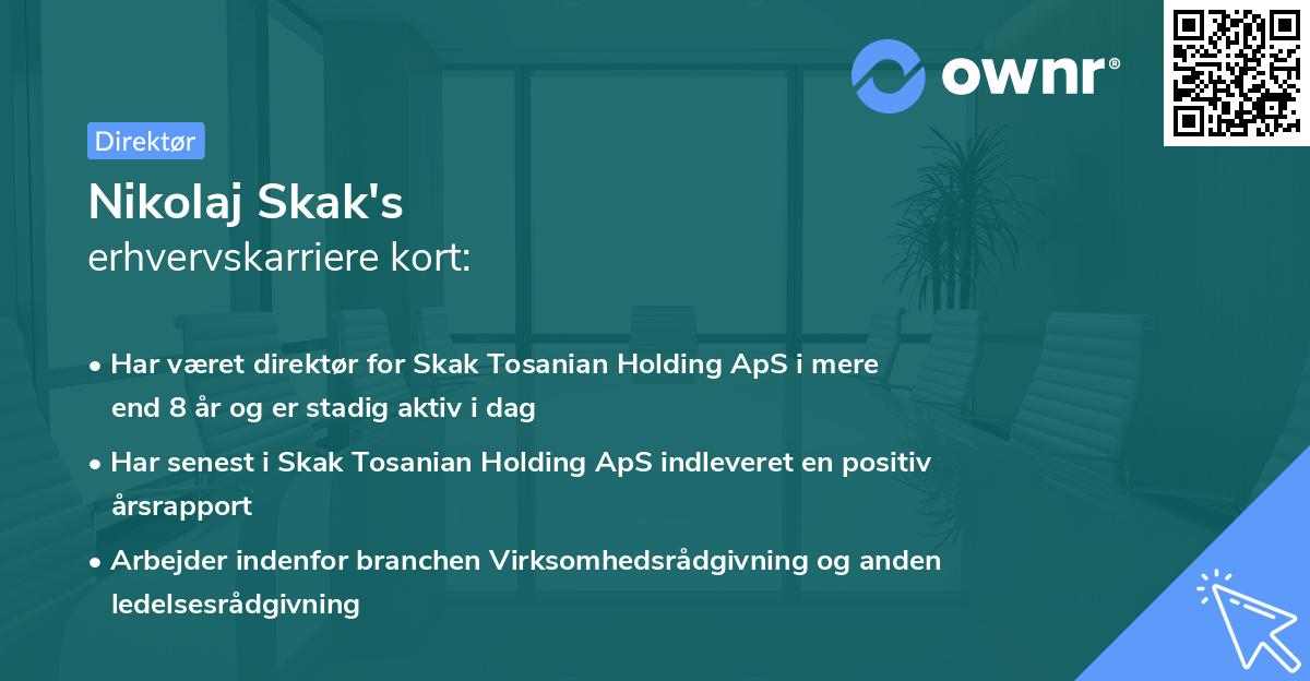 Nikolaj Skak's erhvervskarriere kort