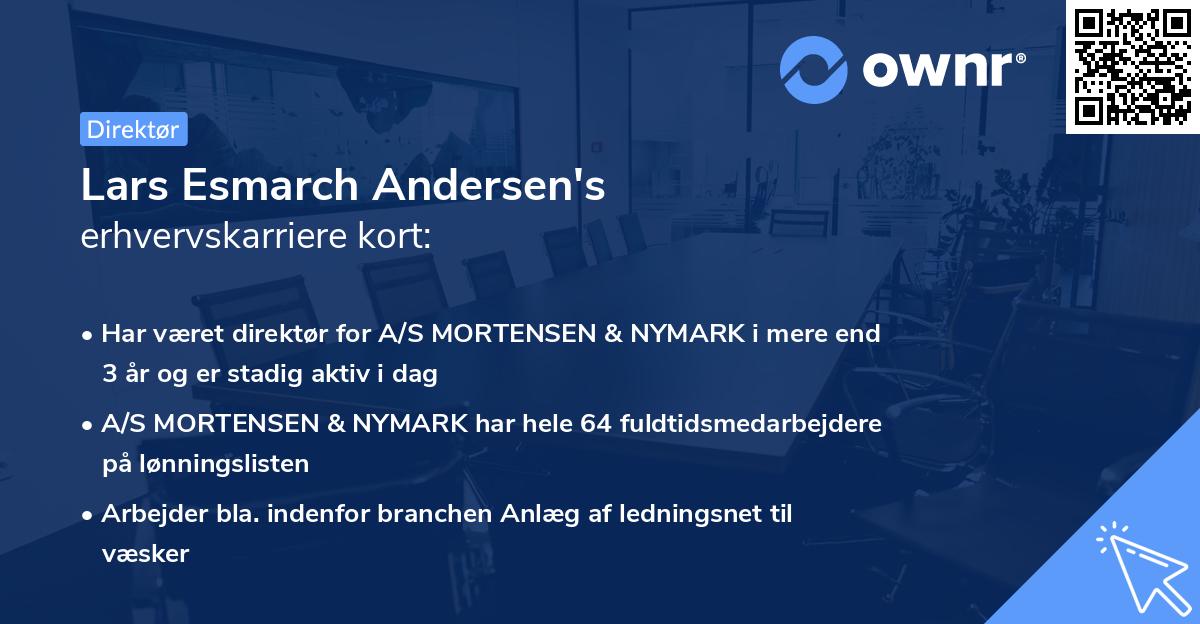 Lars Esmarch Andersen's erhvervskarriere kort