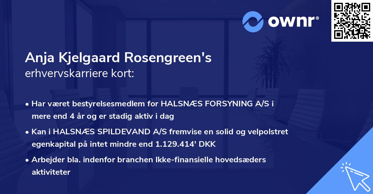 Anja Kjelgaard Rosengreen's erhvervskarriere kort