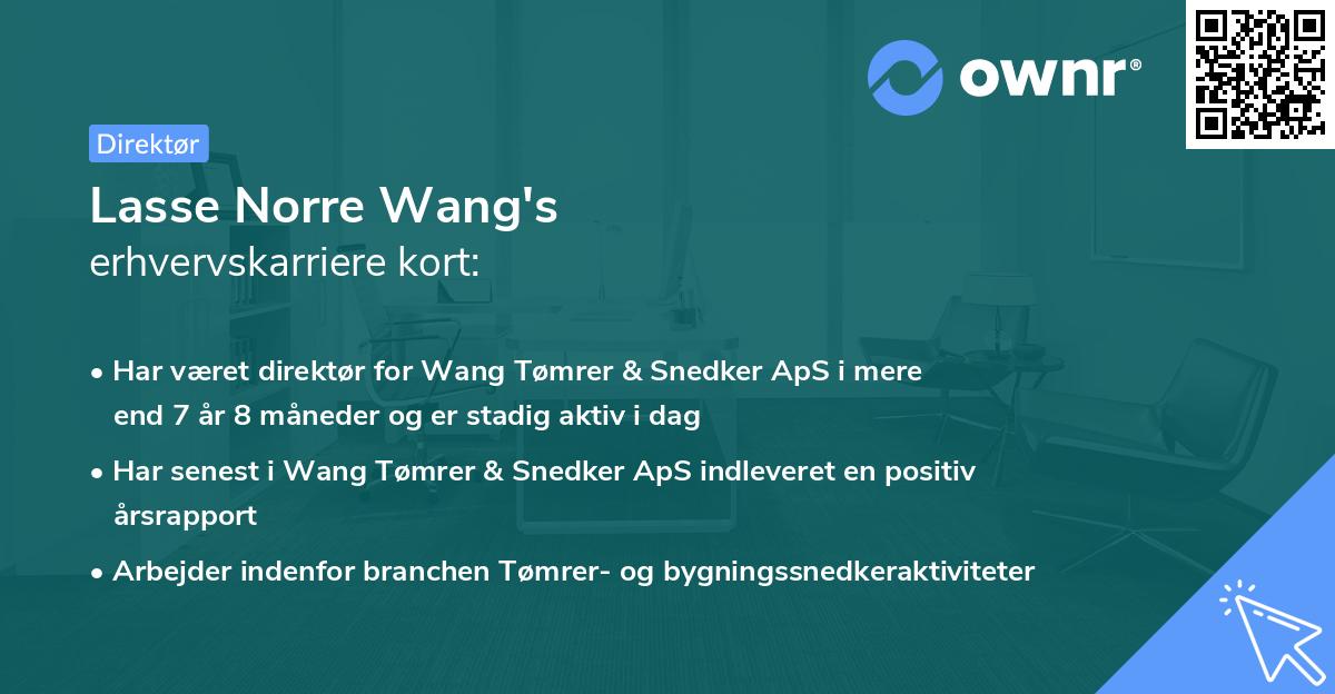 Lasse Norre Wang's erhvervskarriere kort