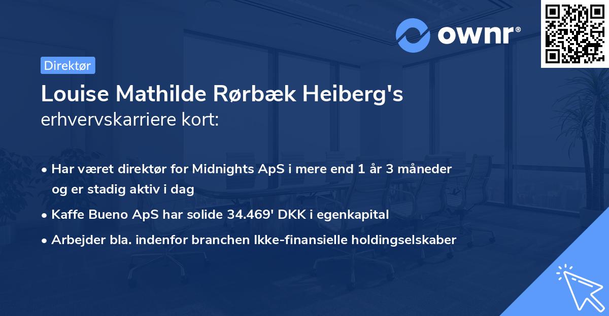 Louise Mathilde Rørbæk Heiberg's erhvervskarriere kort