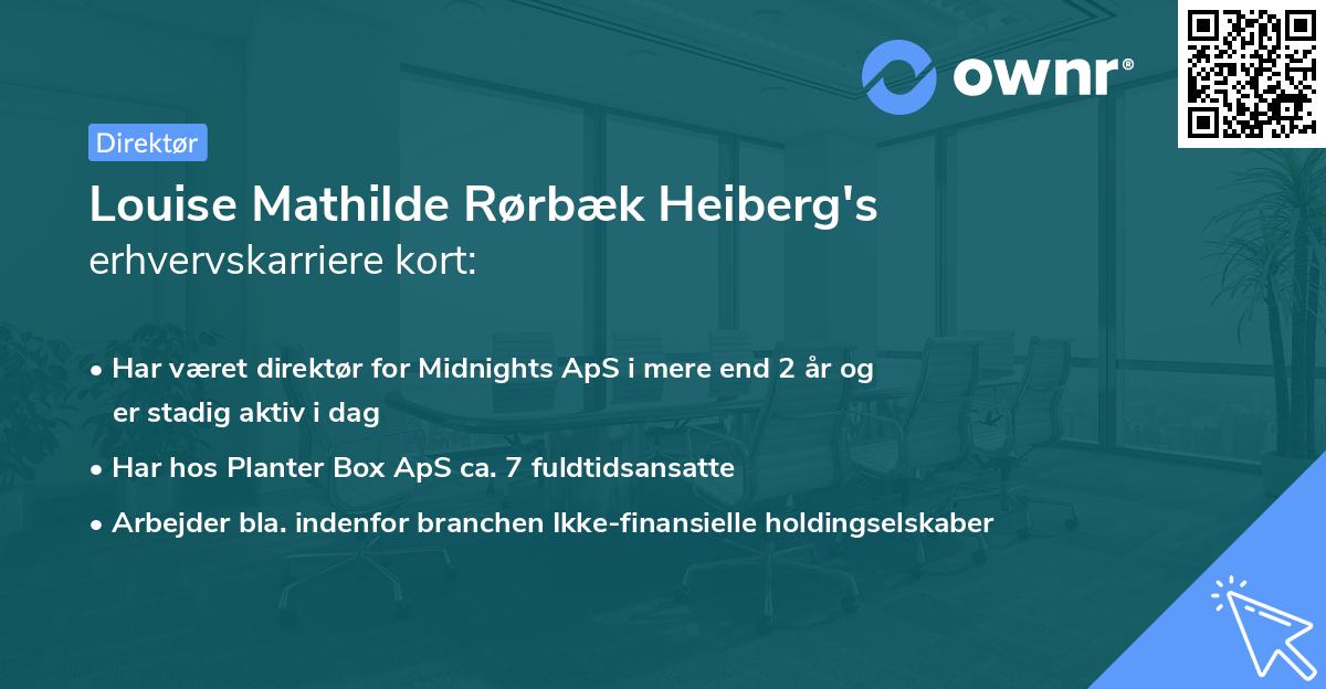 Louise Mathilde Rørbæk Heiberg's erhvervskarriere kort