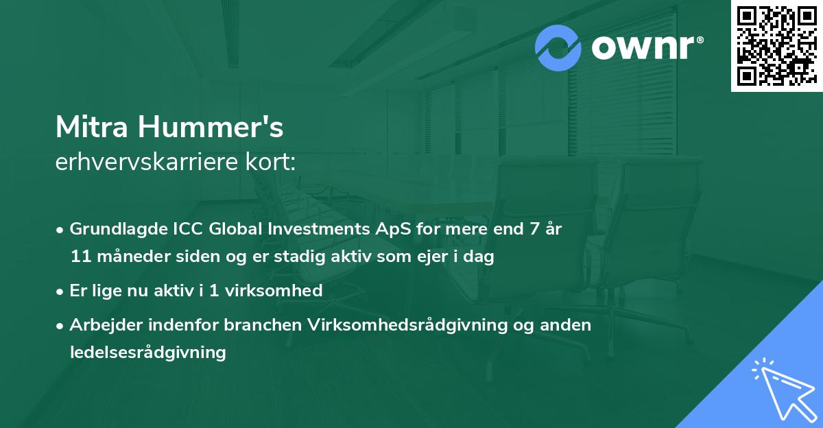 Mitra Hummer's erhvervskarriere kort