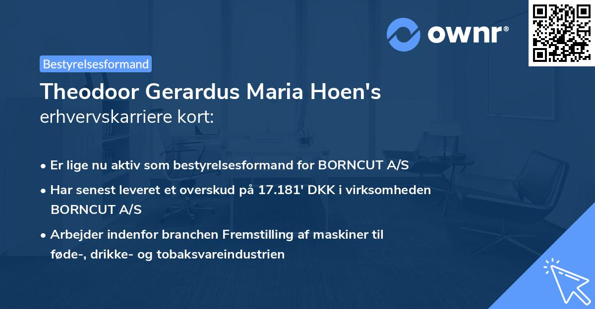 Theodoor Gerardus Maria Hoen's erhvervskarriere kort