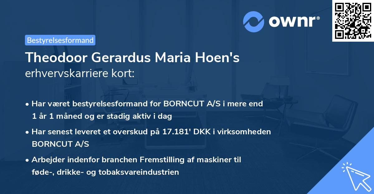 Theodoor Gerardus Maria Hoen's erhvervskarriere kort