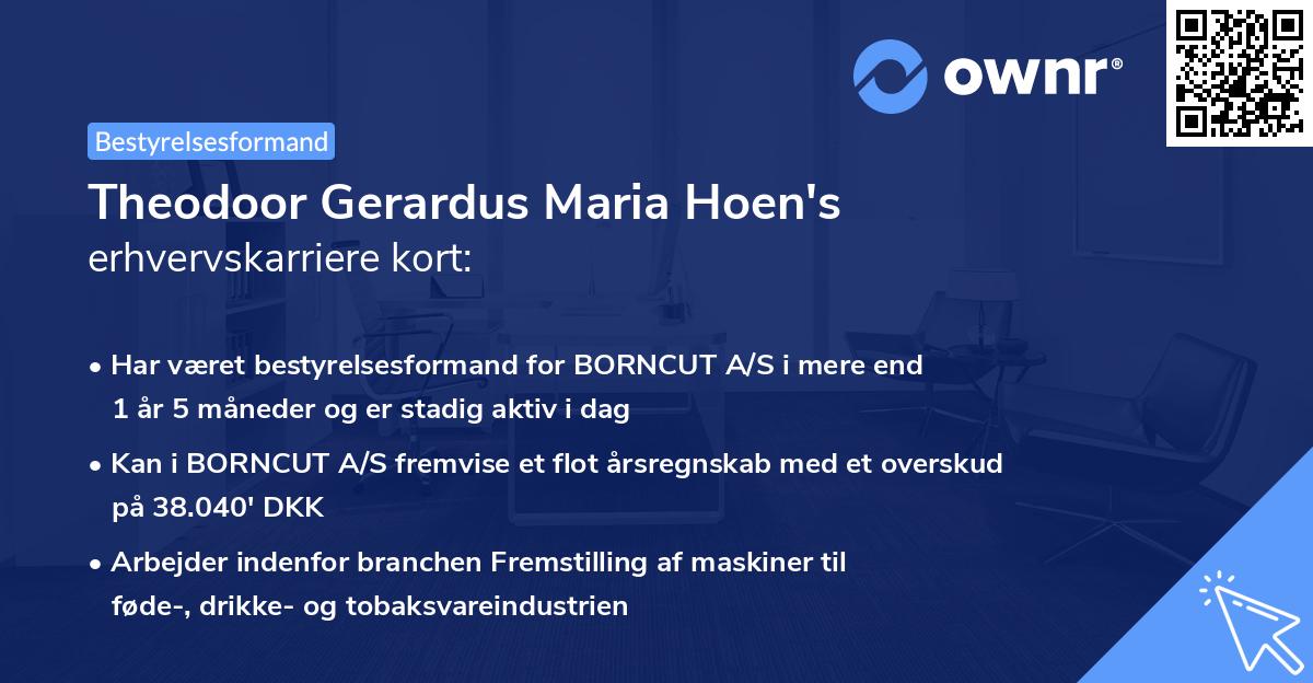 Theodoor Gerardus Maria Hoen's erhvervskarriere kort