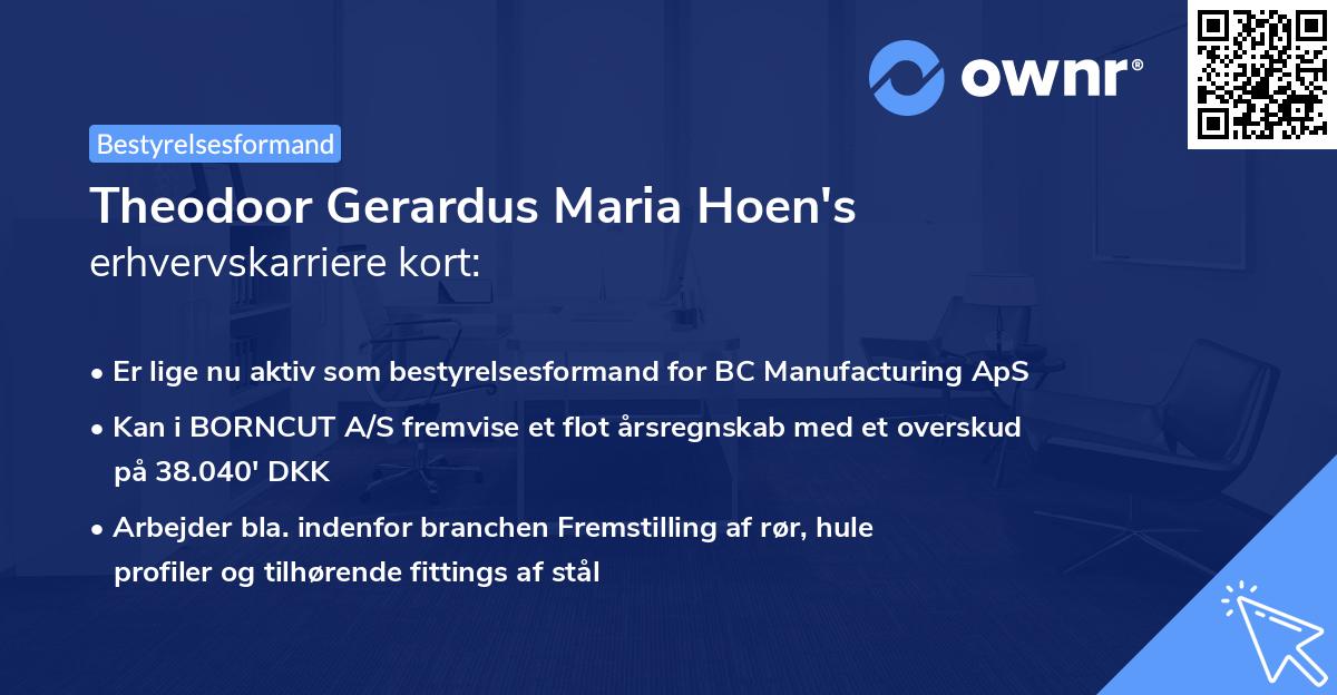 Theodoor Gerardus Maria Hoen's erhvervskarriere kort