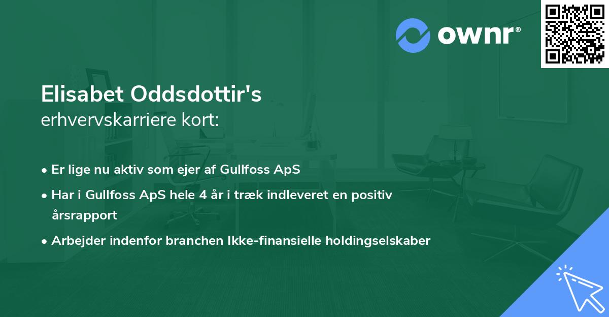 Elisabet Oddsdottir's erhvervskarriere kort