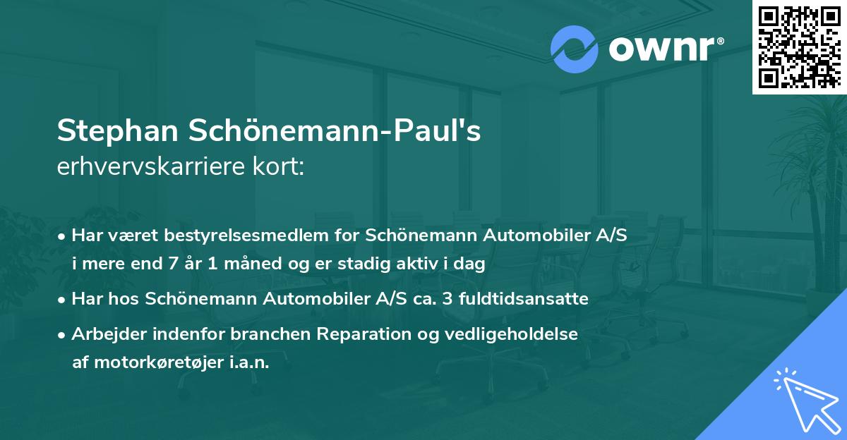 Stephan Schönemann-Paul's erhvervskarriere kort