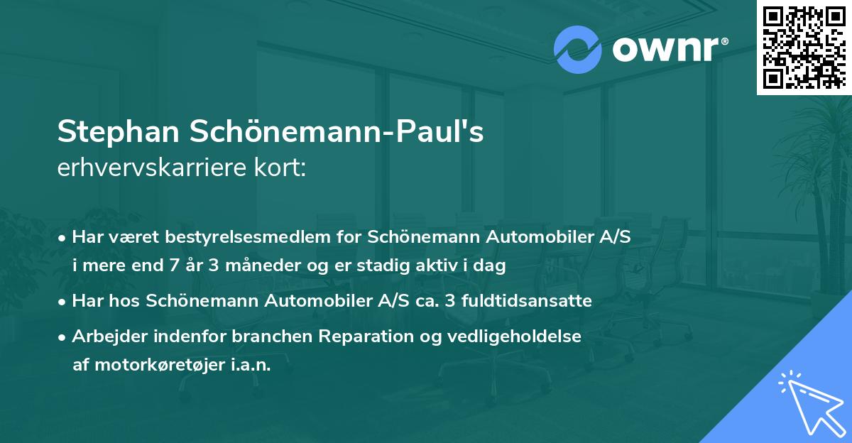 Stephan Schönemann-Paul's erhvervskarriere kort