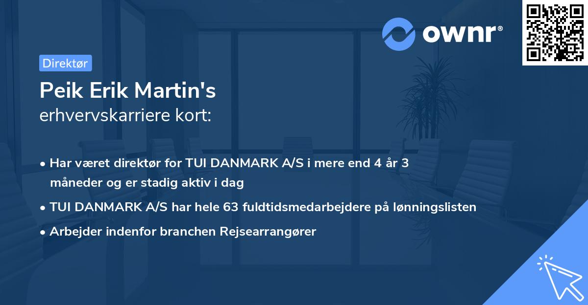 Peik Erik Martin's erhvervskarriere kort