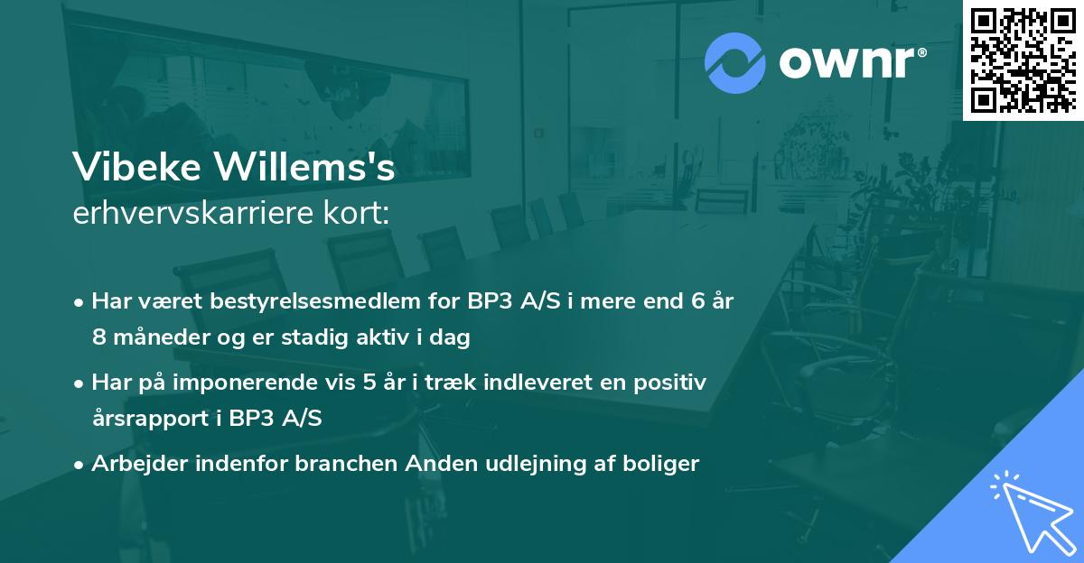 Vibeke Willems's erhvervskarriere kort