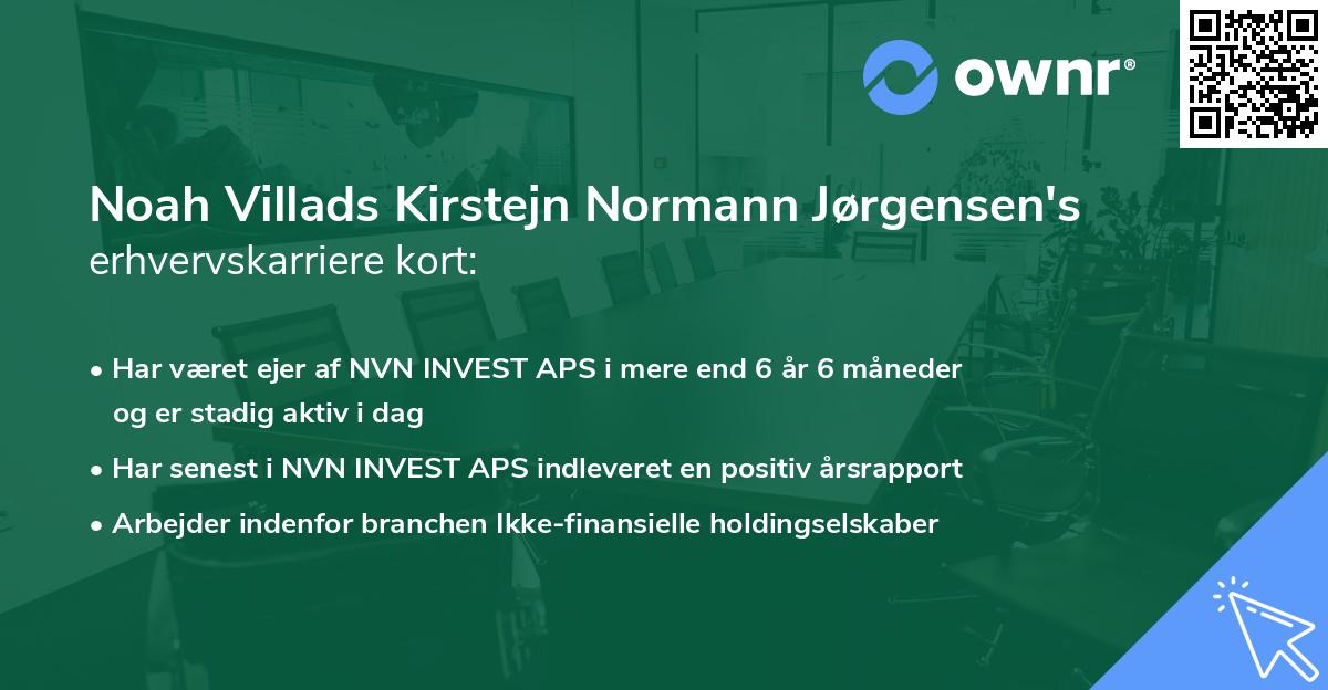 Noah Villads Kirstejn Normann Jørgensen's erhvervskarriere kort