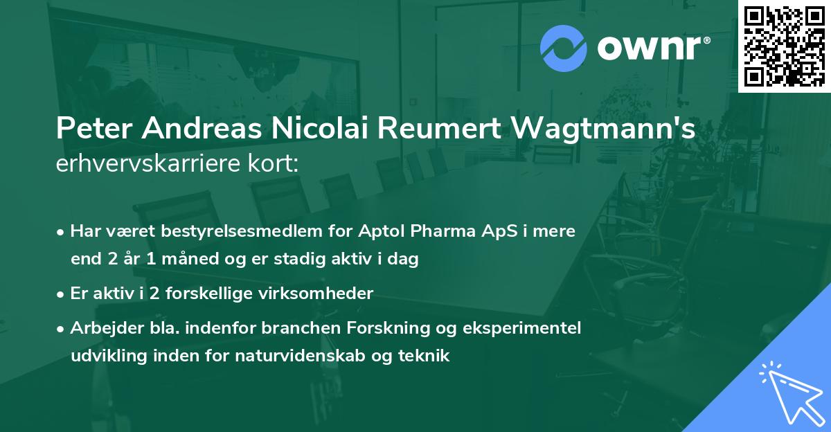 Peter Andreas Nicolai Reumert Wagtmann's erhvervskarriere kort