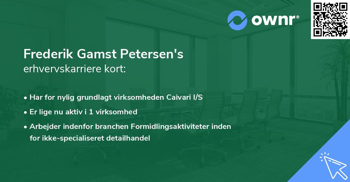 Frederik Gamst Petersen's erhvervskarriere kort