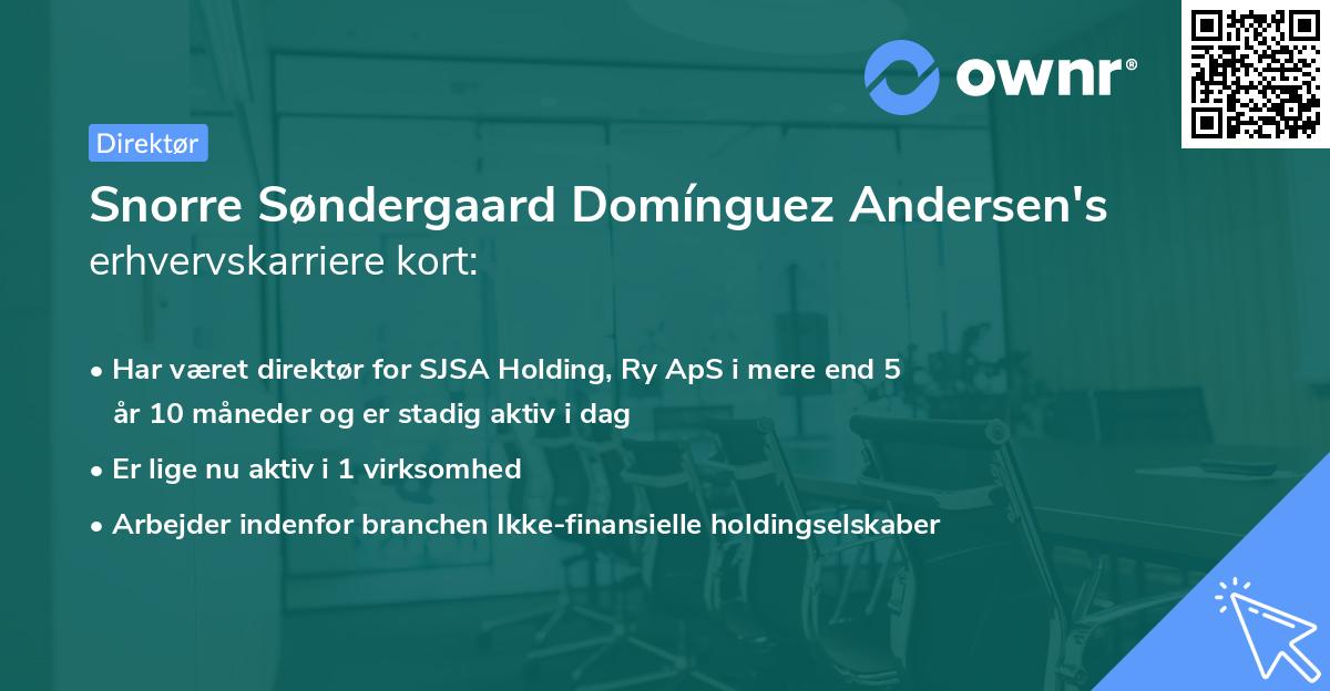 Snorre Søndergaard Domínguez Andersen's erhvervskarriere kort