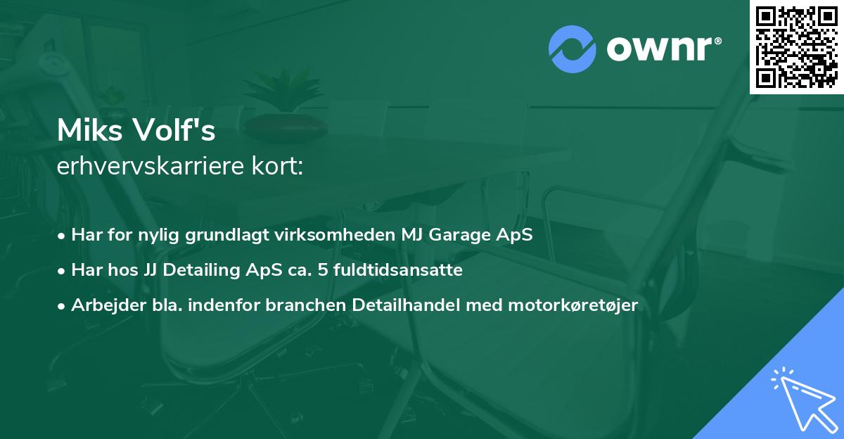 Miks Volf's erhvervskarriere kort
