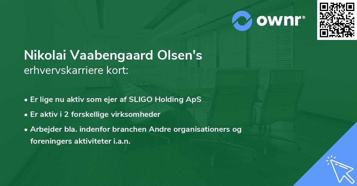 Nikolai Vaabengaard Olsen's erhvervskarriere kort