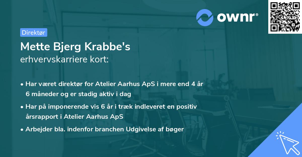 Mette Bjerg Krabbe's erhvervskarriere kort