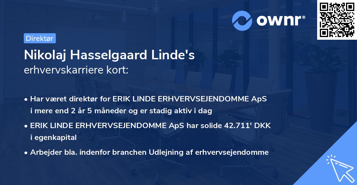 Nikolaj Hasselgaard Linde's erhvervskarriere kort