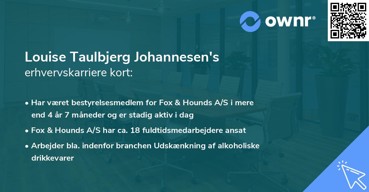 Louise Taulbjerg Johannesen's erhvervskarriere kort