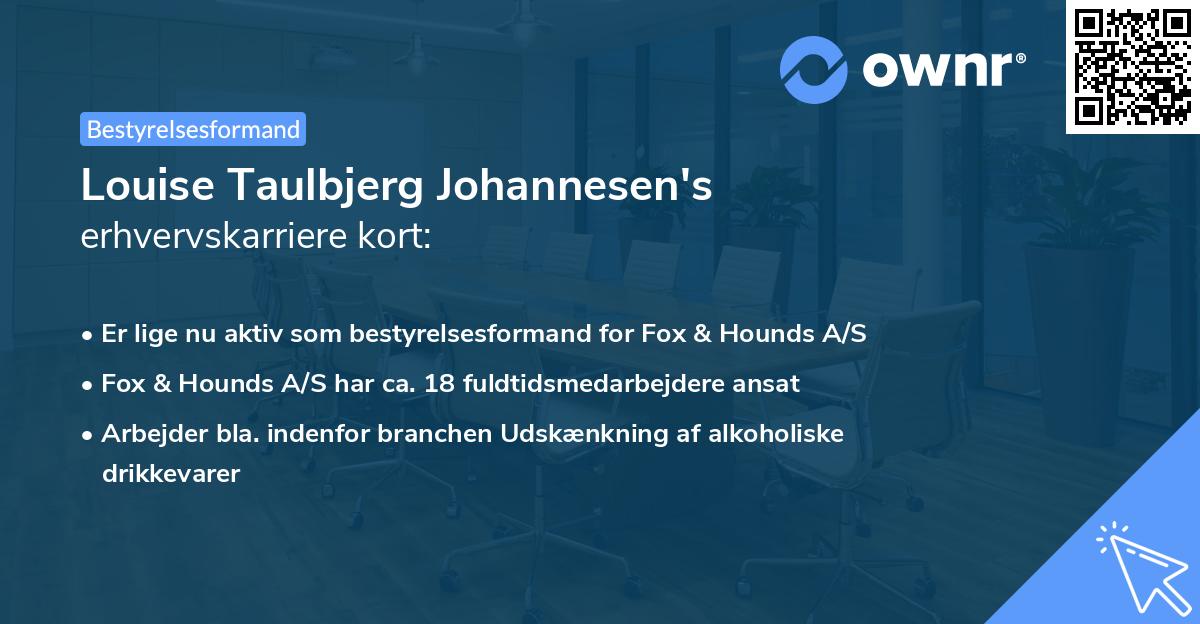 Louise Taulbjerg Johannesen's erhvervskarriere kort